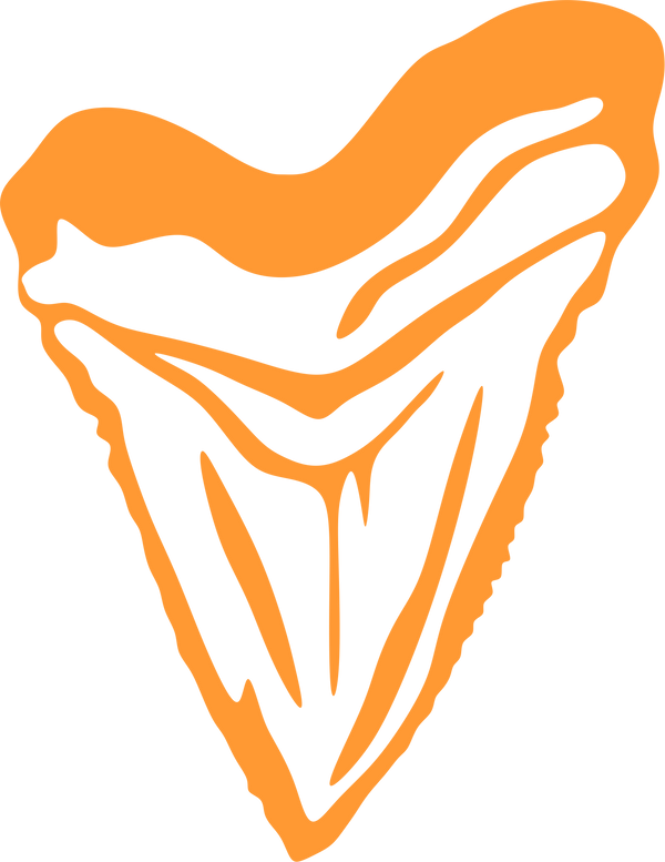 Land\Coast Unrestricted logo